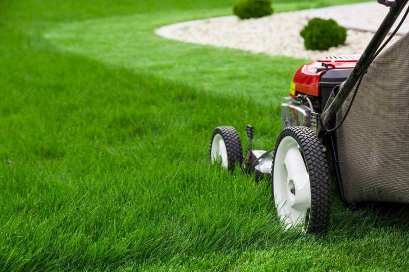 Overgrown Lawn Trimming in Bowie, MD
