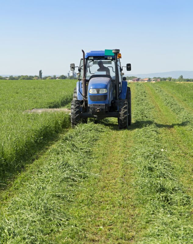 Tractor Mowing